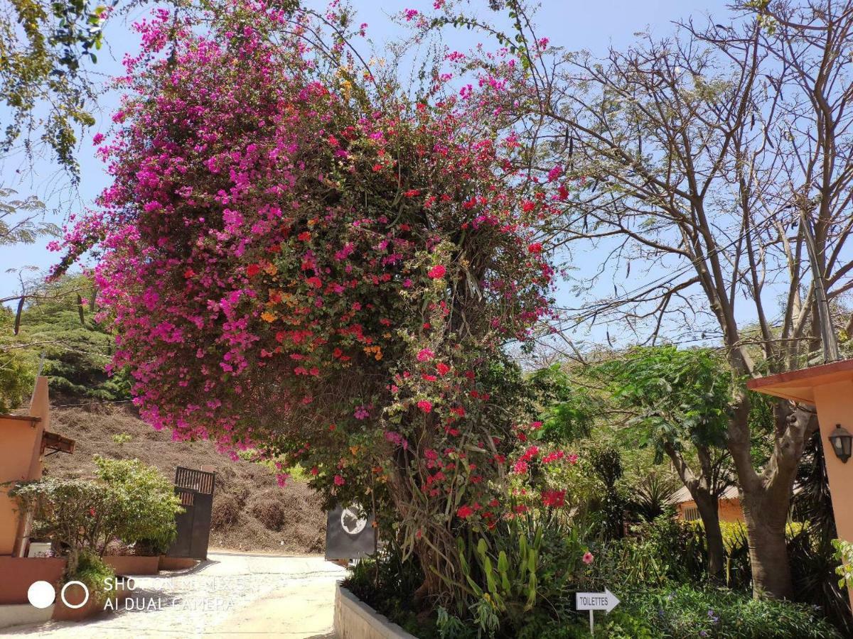 Union Amicale Corse Dakar Hotel Exterior photo